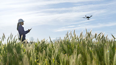 Person in a field operating a drone