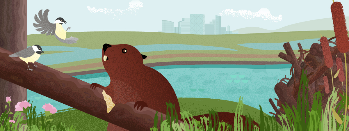 Chevron Learning Pathway Fauna