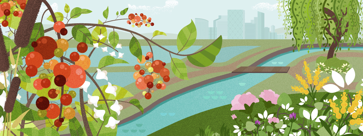 Chevron Learning Pathway Flora