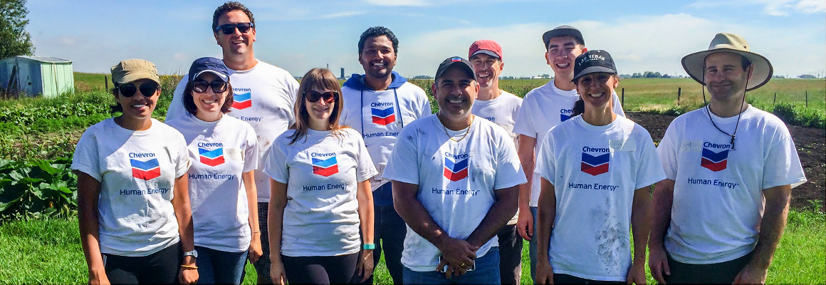 Chevron employees volunteering at the Calgary Food Bank Garden of Eat
