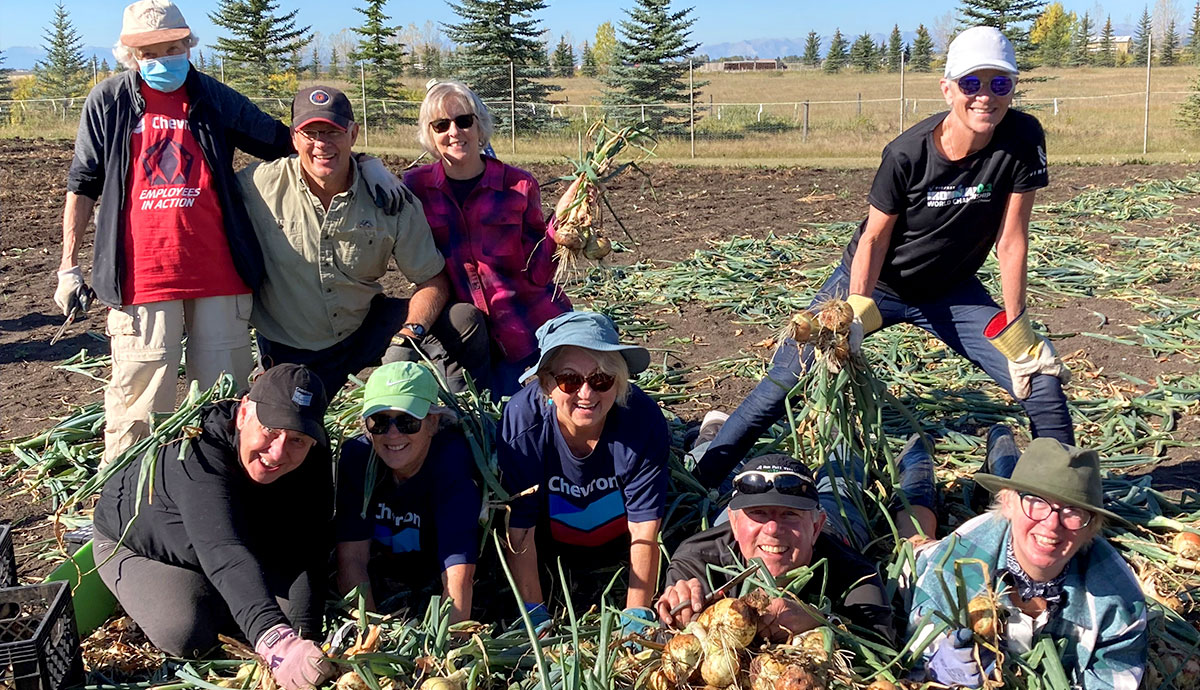 Chevron retirees and employees pose with onions they grew and harvested for the Calgary Food Bank