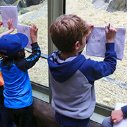 Child participating in Chevron Open Minds Zoo School