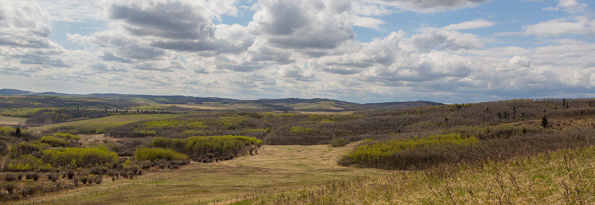 Rolling hills in Alberta, Canada