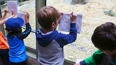 Child participating in Chevron Open Minds Zoo School