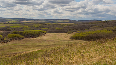 Hills in Alberta, Canada