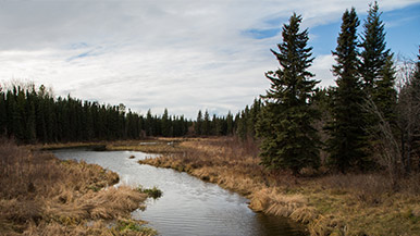 A river in Northern British Columbia