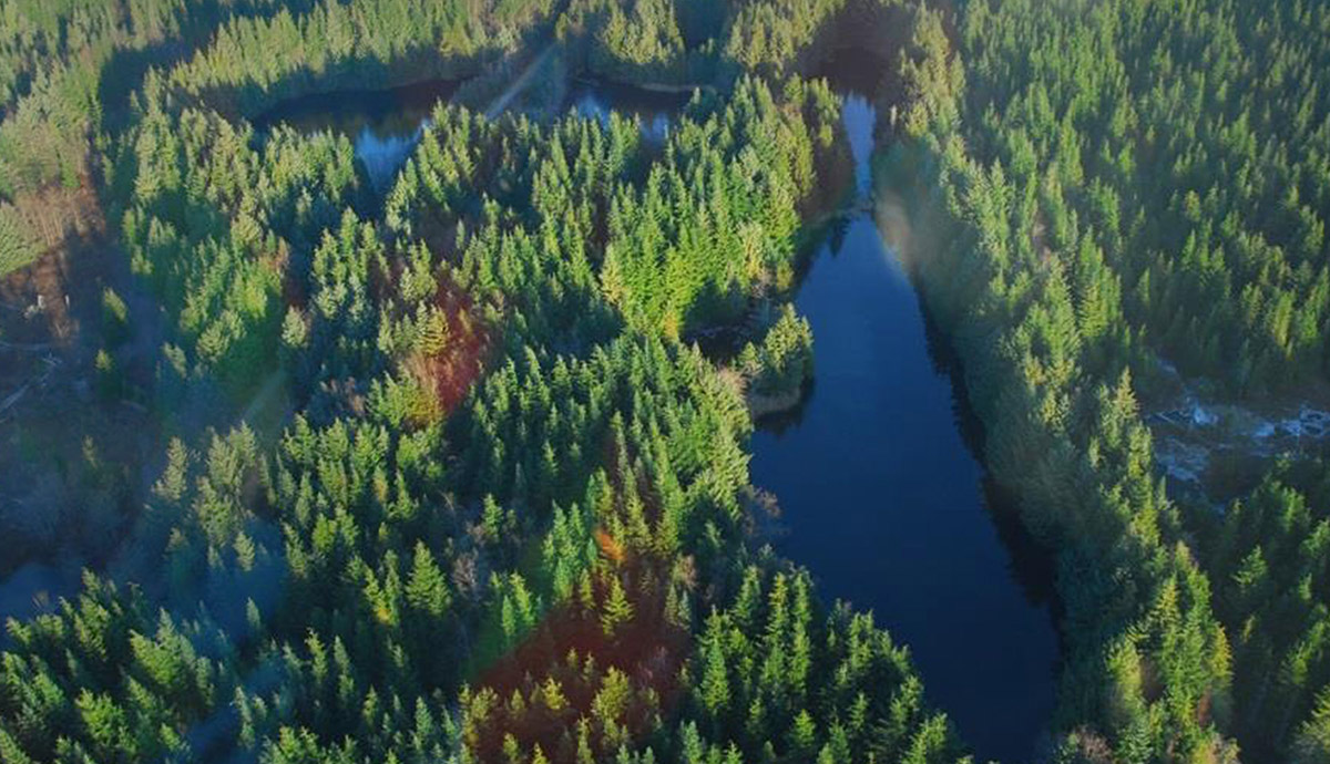 Aerial photograph of Cecil Ponds