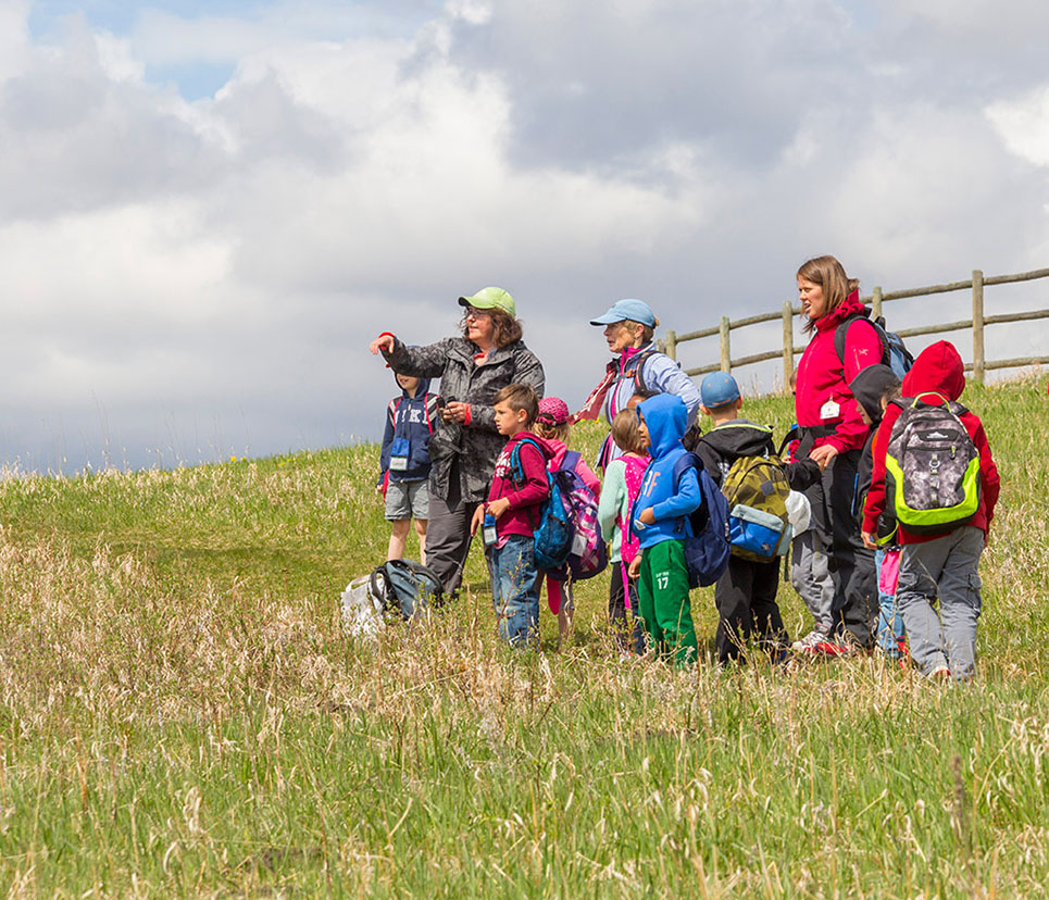 Children observing nature with their teachers