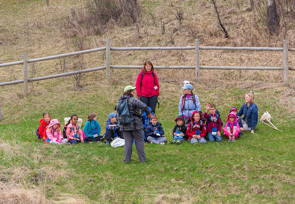 Group of children learning about nature from their teacher