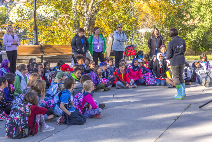 Children preparing to explore nature with their teachers